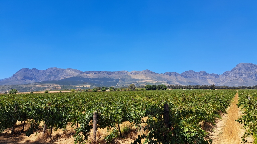 6 Bedroom Property for Sale in Paarl Rural Western Cape